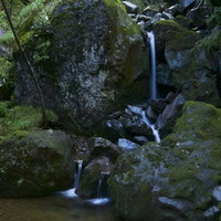 赤岳登山道中の苔むした岩間を流れる小さな滝の写真