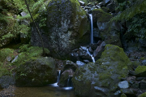 赤岳登山道中の苔むした岩間を流れる小さな滝