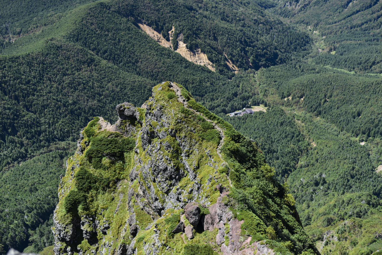 赤岳稜線から見た大同心の岩峰と緑の山々が広がる山岳風景