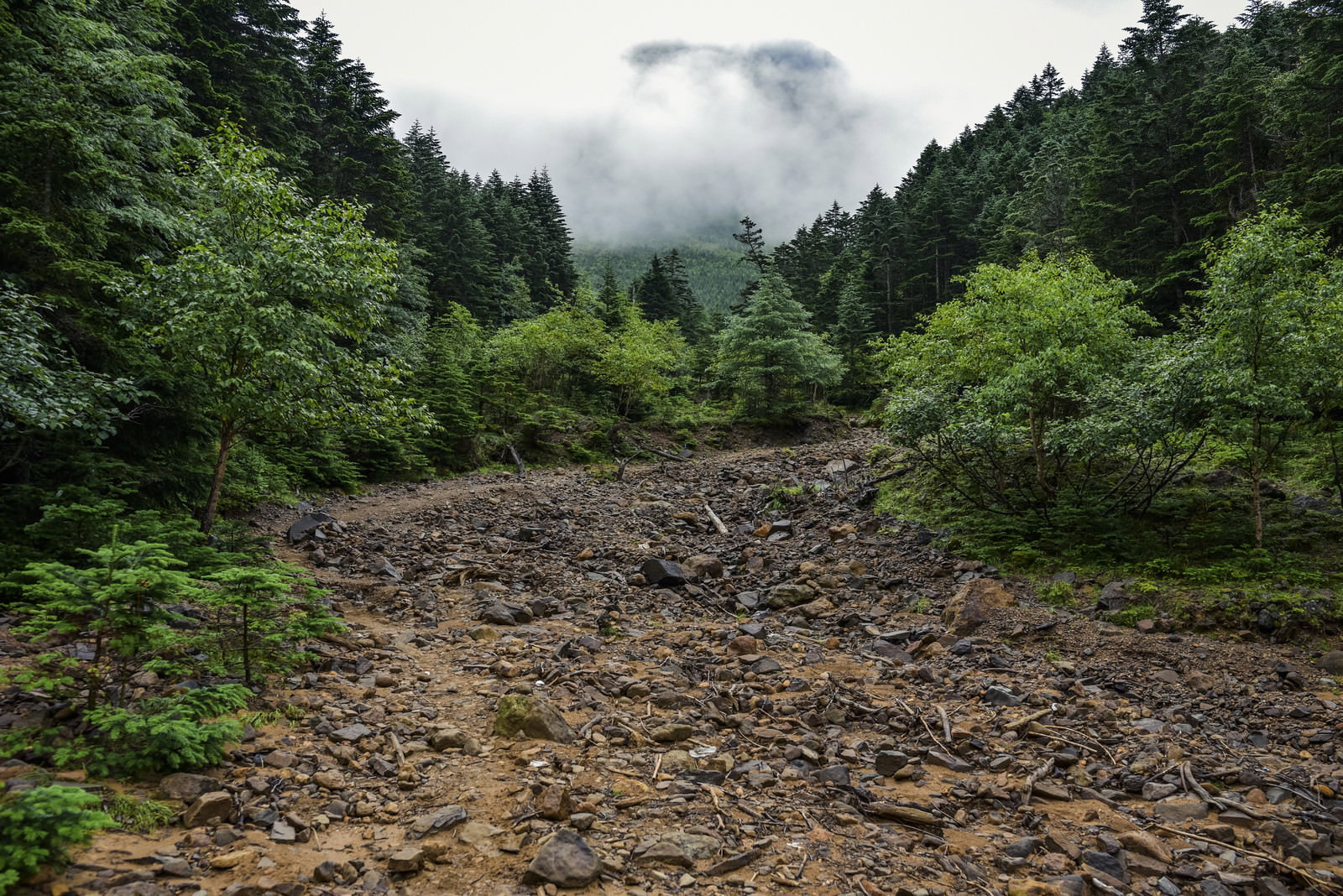 雲がかかる八ヶ岳の赤岳登山道、岩場の山道と両脇の緑の森林