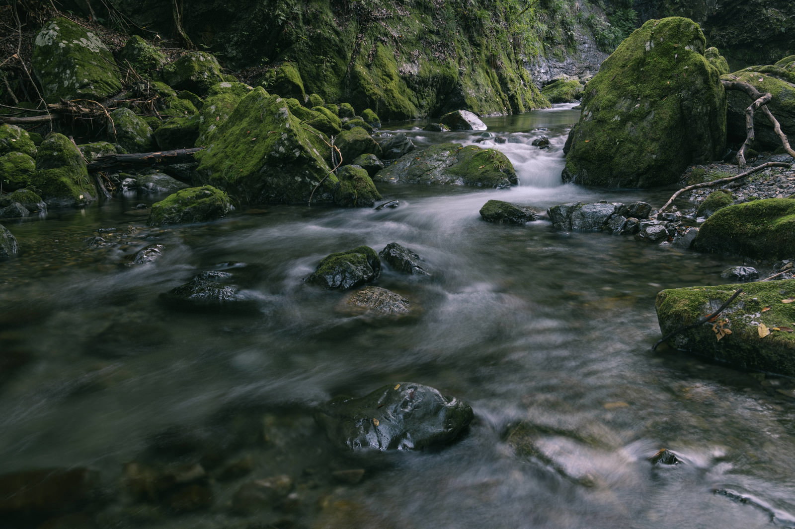 A clear stream flowing quietly between green, moss-covered rocks