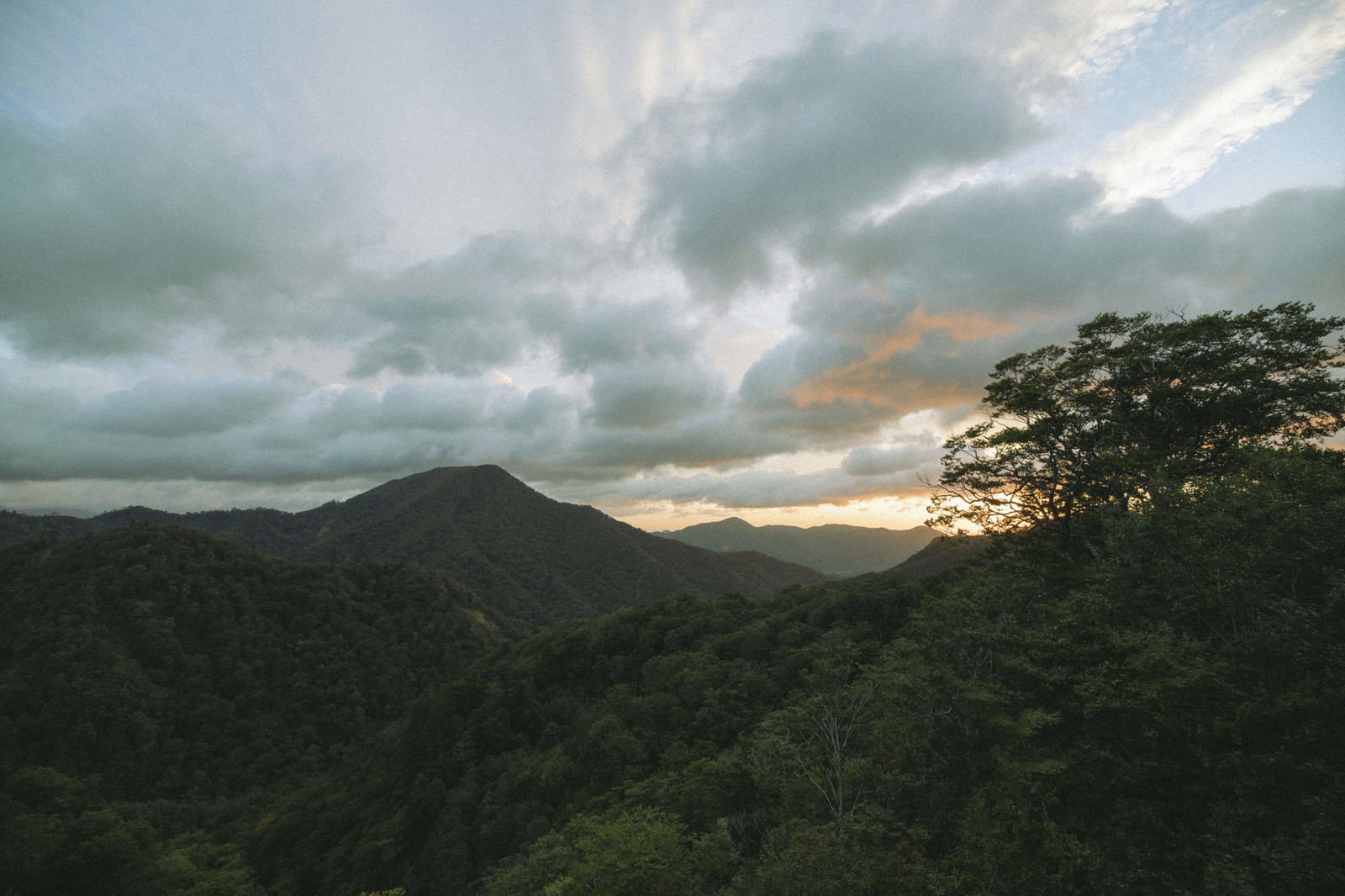 雲の隙間から朝日が差し込み、緑深い山々と樹木が見える朝焼けの風景