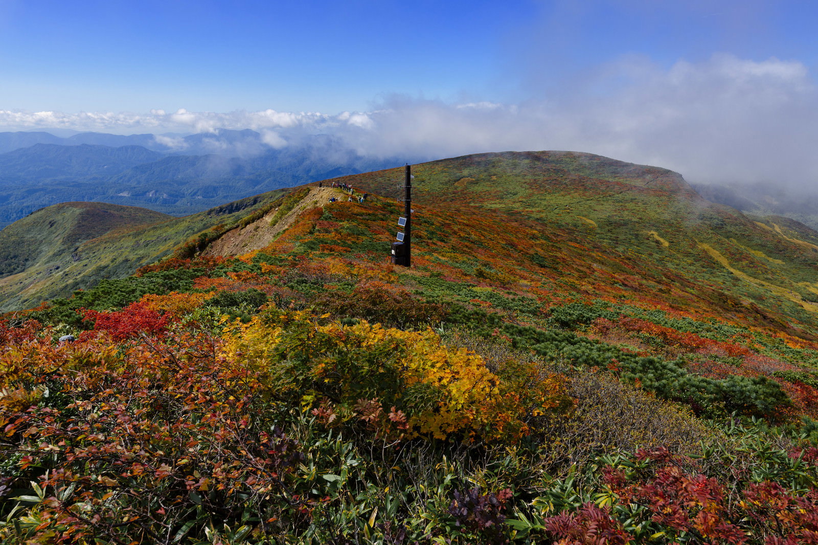青空の下、紅葉に染まった栗駒山の登山道が尾根沿いに続く秋の山岳風景