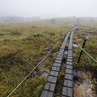 ガスと霧に覆われ不安な気持ちを誘う湿原の木道の写真
