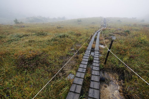 ガスと霧に覆われ不安な気持ちを誘う湿原の木道