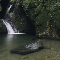 ネジレの滝に浮かぶ苔むした岩と静かな水面の写真