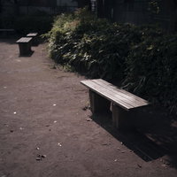 公園の緑に囲まれた一人寂しく距離をとられた木製ベンチの写真