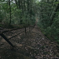 奥多摩鋸尾根の登山道に作られた急峻な神社の参道の写真