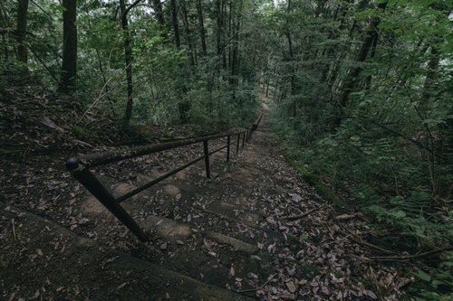 奥多摩鋸尾根の登山道に作られた急峻な神社の参道