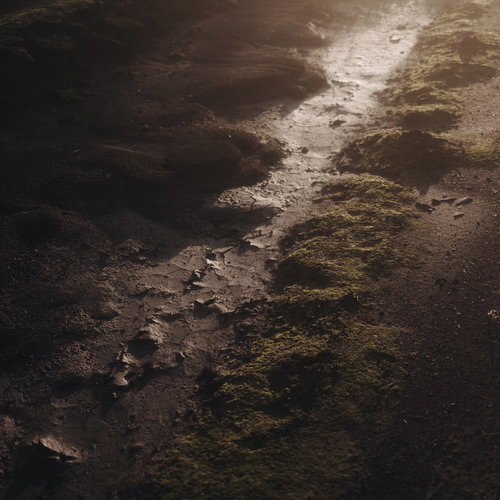 徐々に潤いを失いひび割れてゆく大地