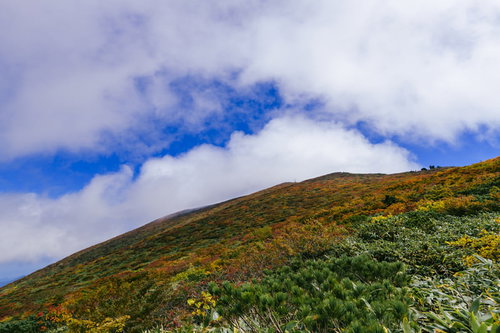斜面が錦に染まる紅葉が気持ちいい山の景色（栗駒山）