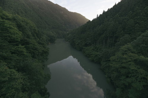 早朝の多摩川上流、深い緑に包まれた静かな水面