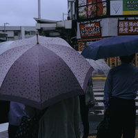 梅雨時の横断歩道で信号待ちする通勤者たちと傘の写真