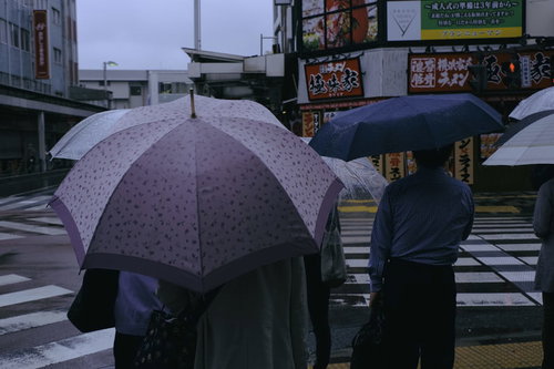 梅雨時の横断歩道で信号待ちする通勤者たちと傘