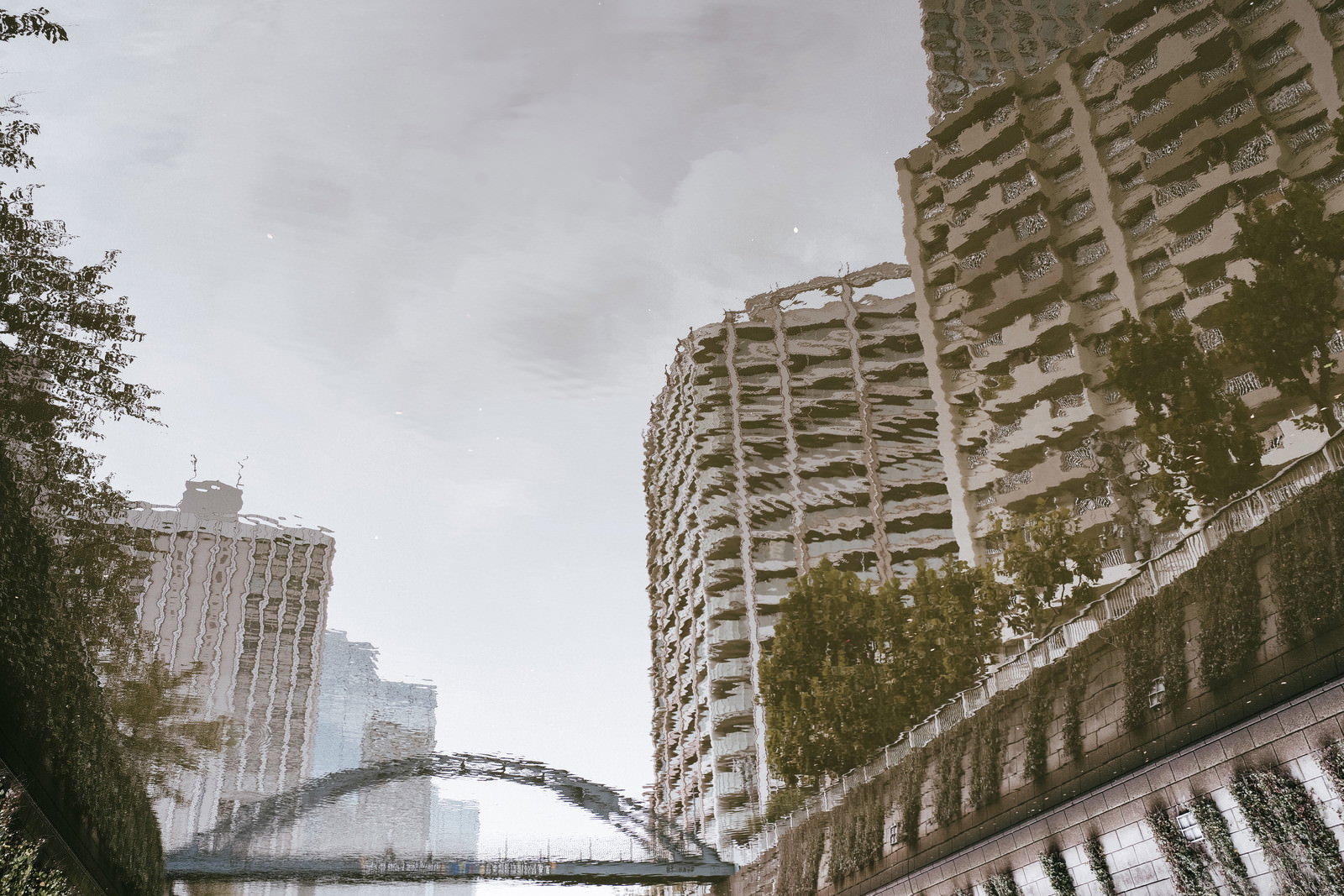 静かな湖面に高層マンション群と橋が反射して映る都市景観