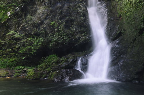 滝つぼへと勢いよく水が降り注ぐ海沢渓谷の大滝