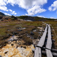 栗駒山の火山性の大地の上に通された木道と火山岩の写真
