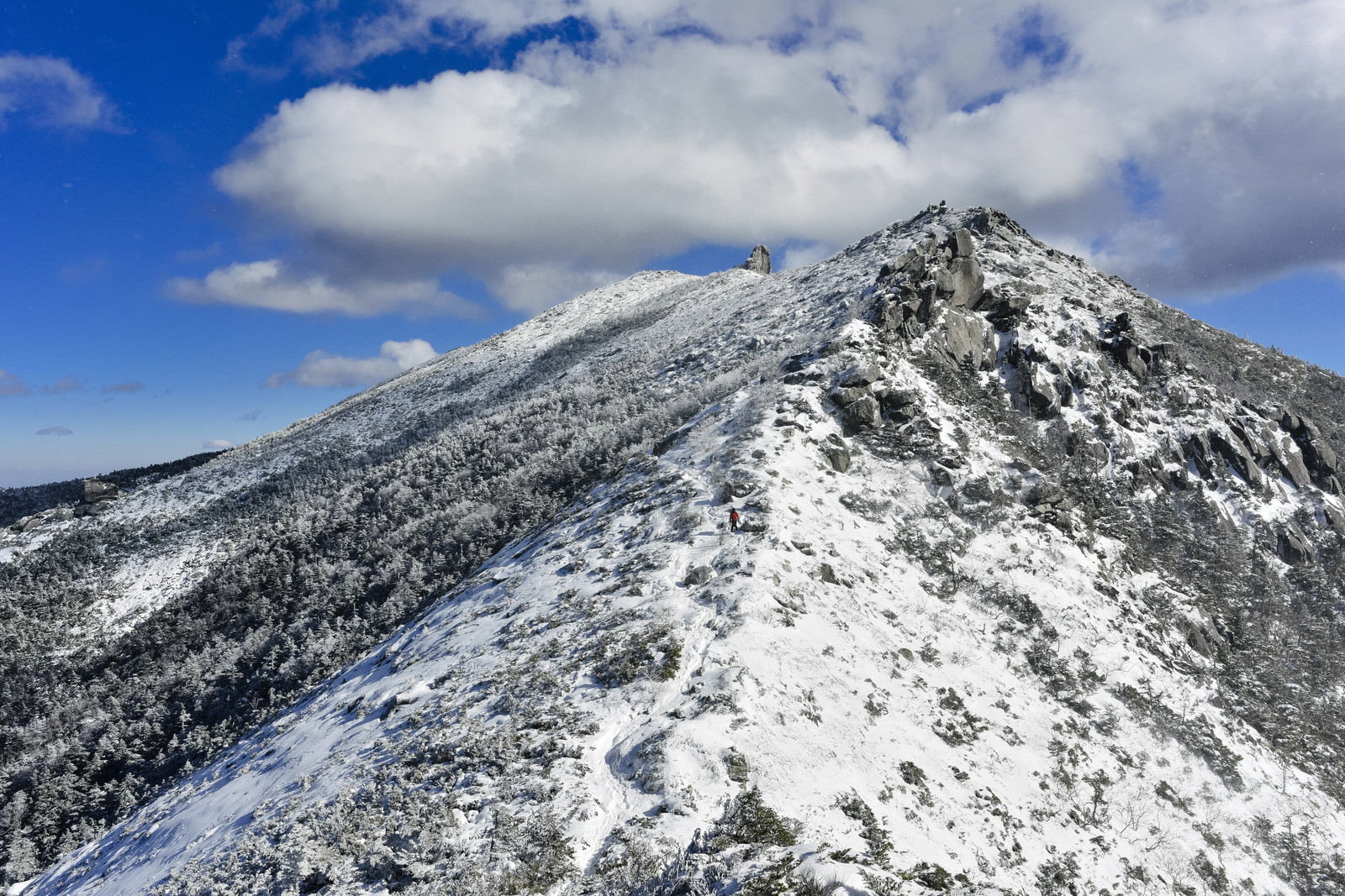 雪に覆われた金峰山の稜線と青空が広がる冬山の風景