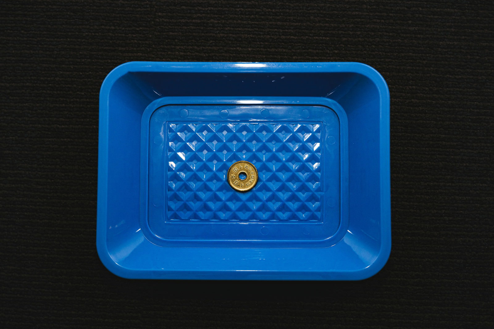 青いプラスチック製のトレーの中央に1枚の5円硬貨が置かれている