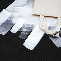 白いエコバッグと透明なレジ袋の比較、有料化対応と環境配慮の選択肢の写真