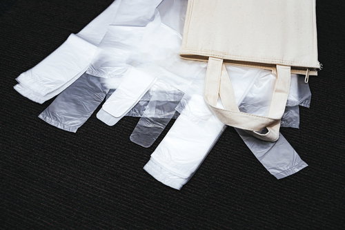 白いエコバッグと透明なレジ袋の比較、有料化対応と環境配慮の選択肢