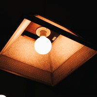 和室の照明と丸型電球のペンダントライトの写真