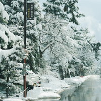 浜通り商店街の並木が積雪でおおわれた融雪道路の写真