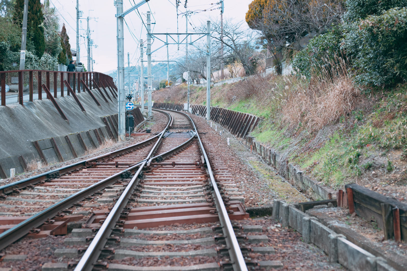 電柱が立ち並ぶ中をまっすぐ延びる線路