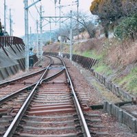 どこまでも続く線路と電柱の写真