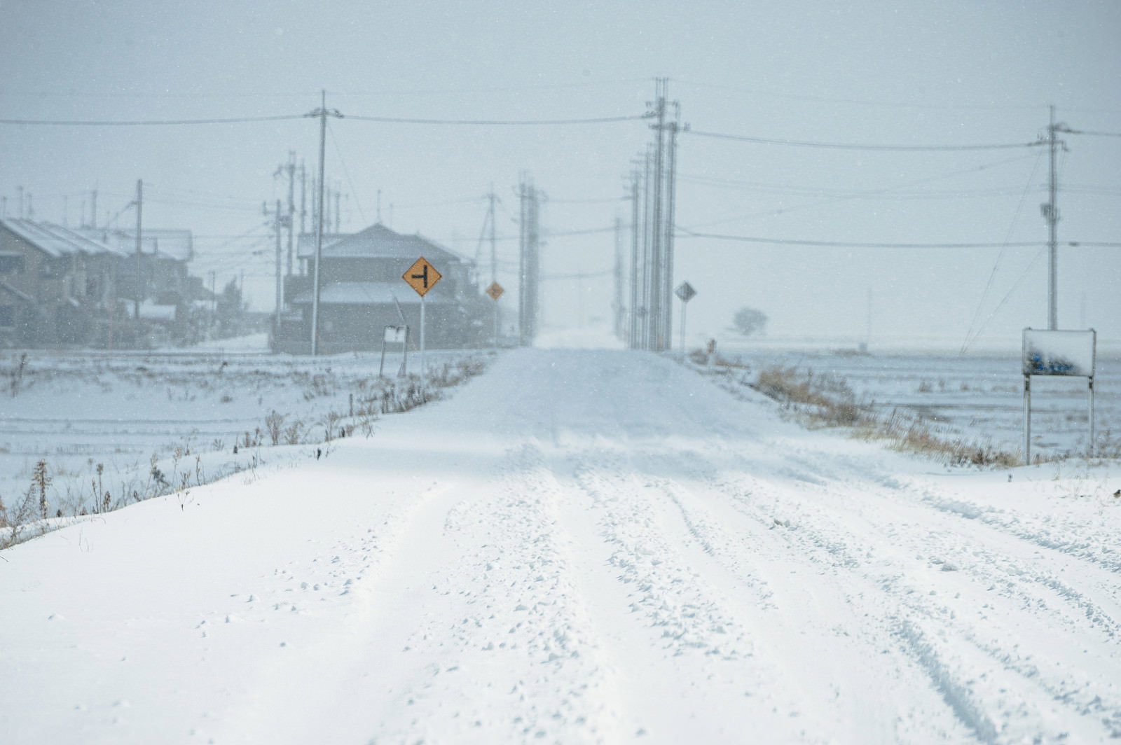真っ白な雪に覆われた道路とタイヤの轍跡