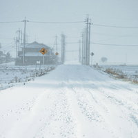 轍も埋まるほどの降雪した冬の道路、車のタイヤ跡と電柱の写真