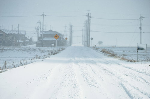 轍も埋まるほどの降雪した冬の道路、車のタイヤ跡と電柱
