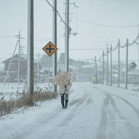 雪に残るタイヤ跡と降雪の中を歩く歩行者と電柱の写真