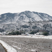 雪国の冬景色、雪化粧した山並みを背景にした水田風景の写真