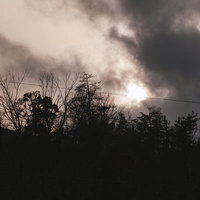 夕暮れ時の木々と電線が浮かぶモノクロシルエットの写真