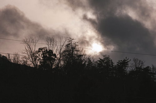 夕暮れ時の木々と電線が浮かぶモノクロシルエット