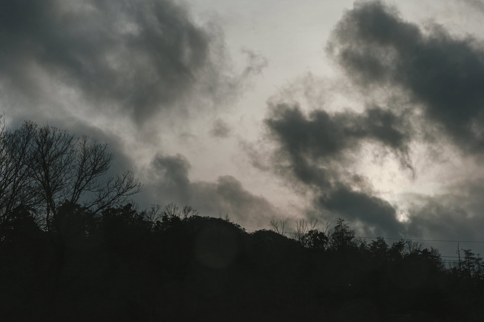 重い雲に覆われた曇り空をバックに、手前の木々が黒いシルエットになったモノクロの風景