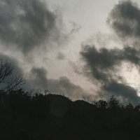 モノクロの曇り空に映るシルエット｜樹木の暗いシルエットの写真