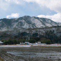 その時初雪、滋賀県高島市の雪化粧した田んぼの写真