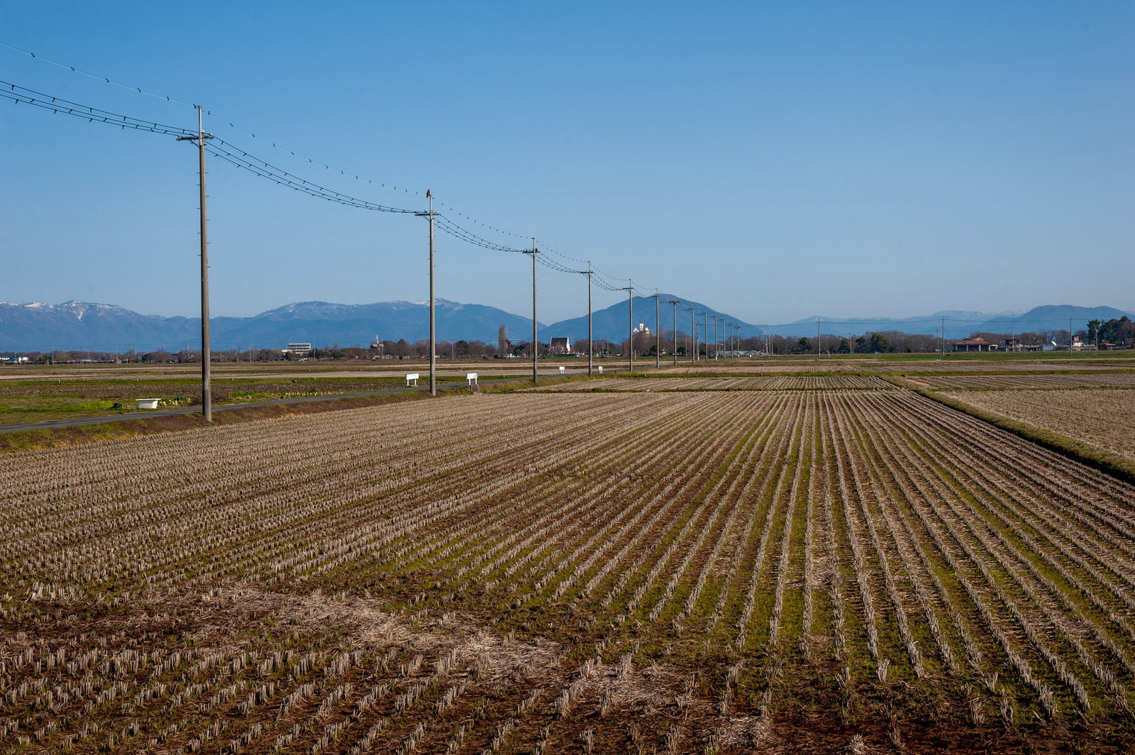 稲刈り後の田んぼに電柱と電線が立ち並び、青空の下に風車が見える風景