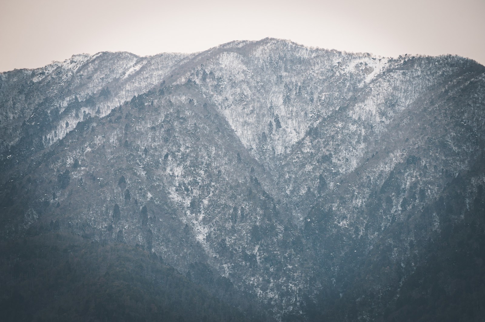 雪に覆われた山が曇り空の下に広がる冬の風景