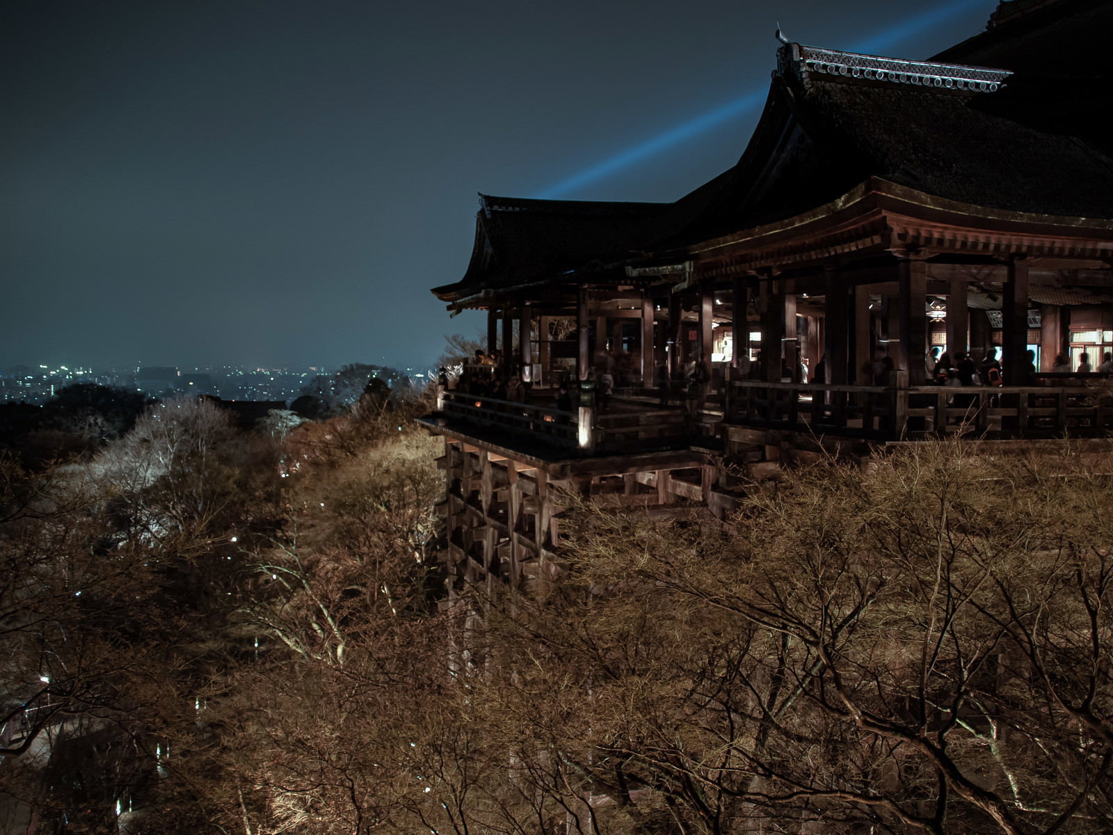 夜にライトアップされた清水寺の本堂と周囲の木々
