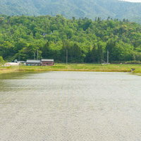 何気ない田園風景、田植え後の水田と緑の山々の写真