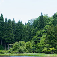 深い森に囲まれた静寂な湖面と新緑の風景の写真