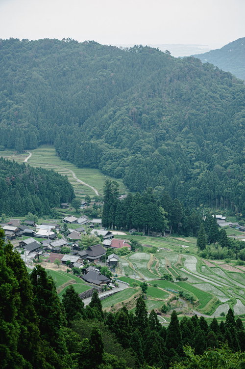 山間部の緑豊かな棚田を縦位置で捉えた農村風景