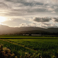 夕焼けに染まる緑の田園風景と遠くの山並みの写真
