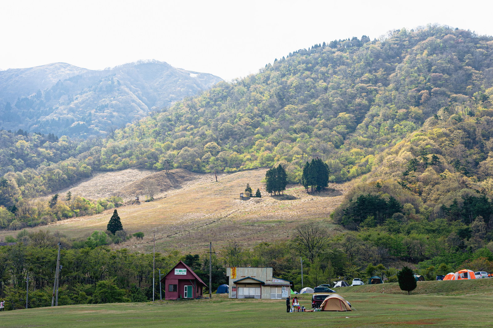 緑の草原に設置されたテントと背景の山々が見える滋賀県高島市マキノ町のキャンプ場