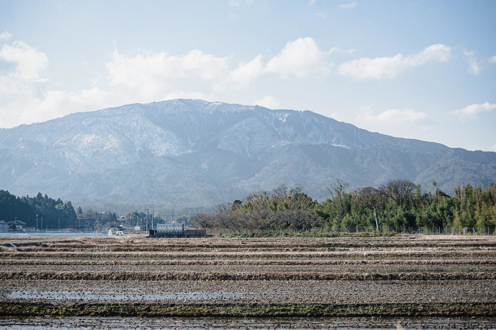 残雪を頂いた山を背景に、整然と区画された水田が広がる田園風景