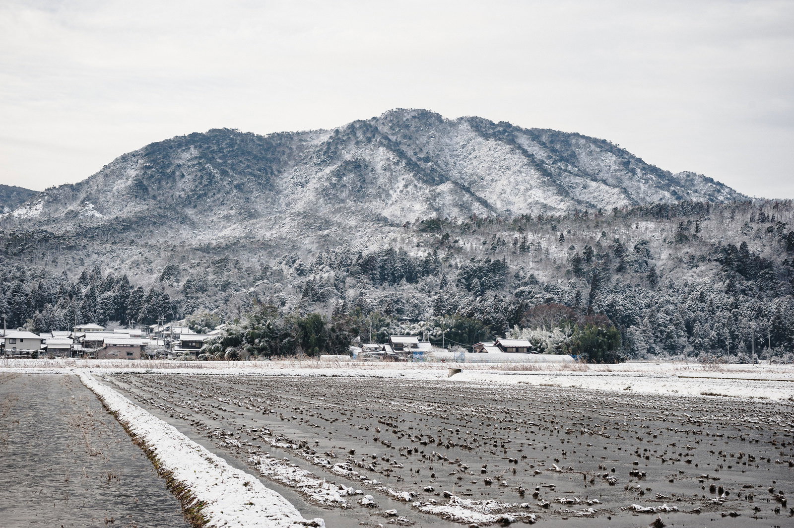 雪に覆われた田んぼと背景に雪化粧した山々が見える冬の農村風景
