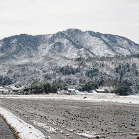 雪化粧した田んぼと山々が連なる滋賀県高島市の冬景色の写真